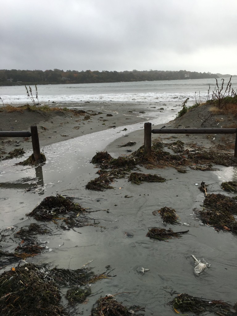 Tides Report Jamestown, RI MyCoast