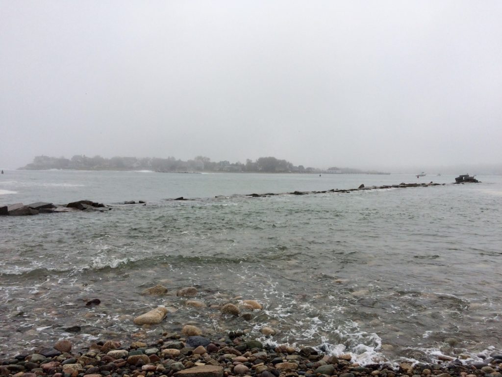 Tides Report Scituate MA MyCoast