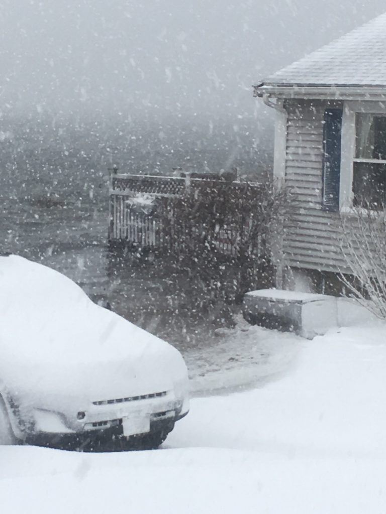 Storms Report Gloucester, MA MyCoast