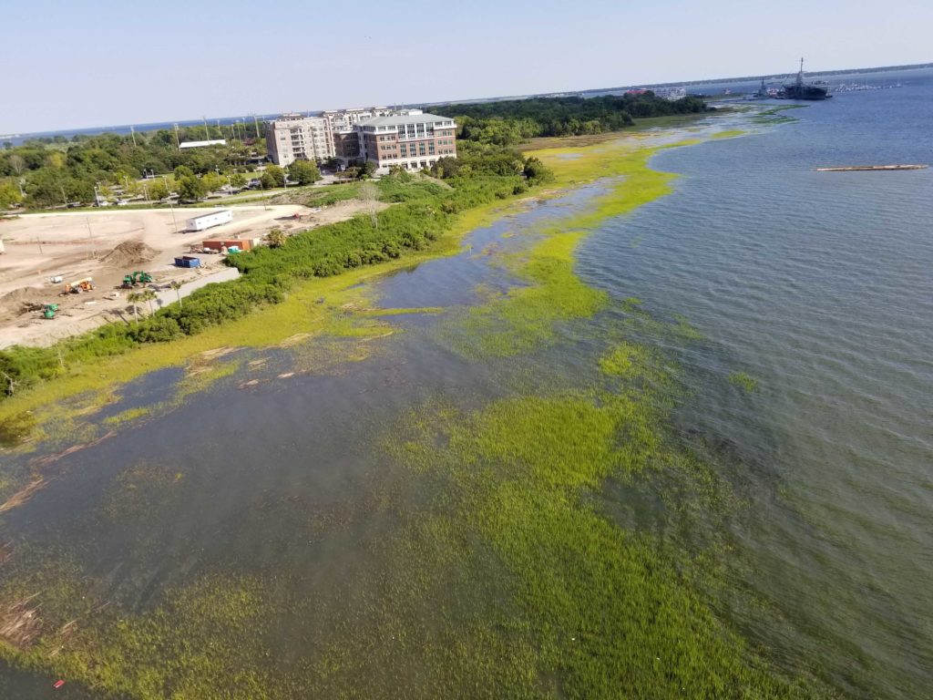 Tides Report Mt Pleasant SC MyCoast