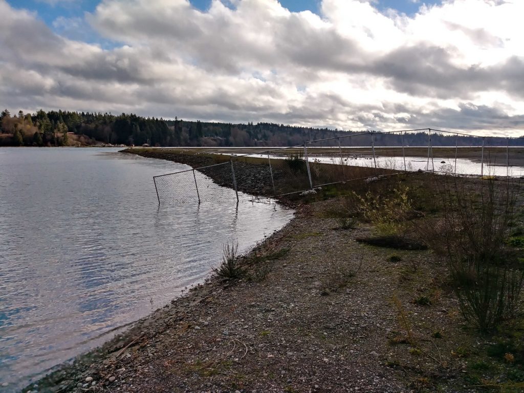 Tides Report Port Gamble, WA MyCoast