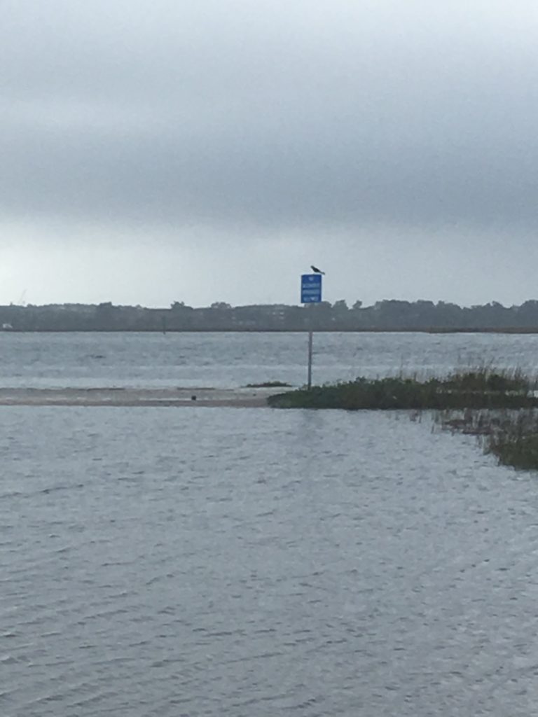 Tides Report Port Royal, SC MyCoast