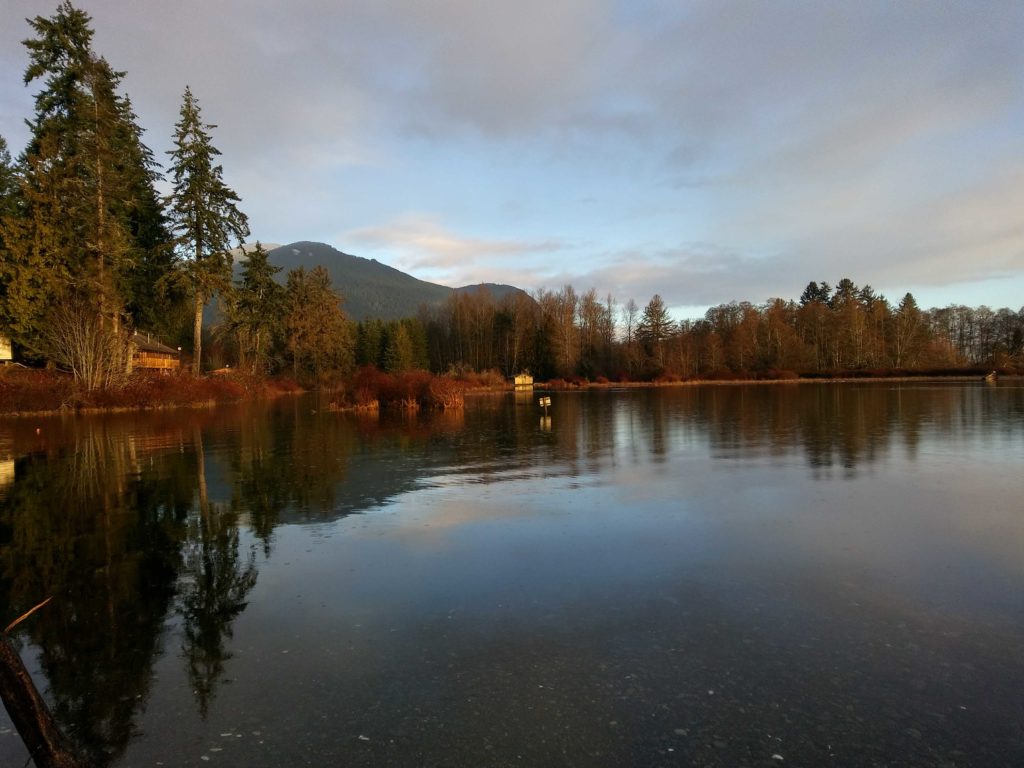 Tides Report Brinnon, WA MyCoast