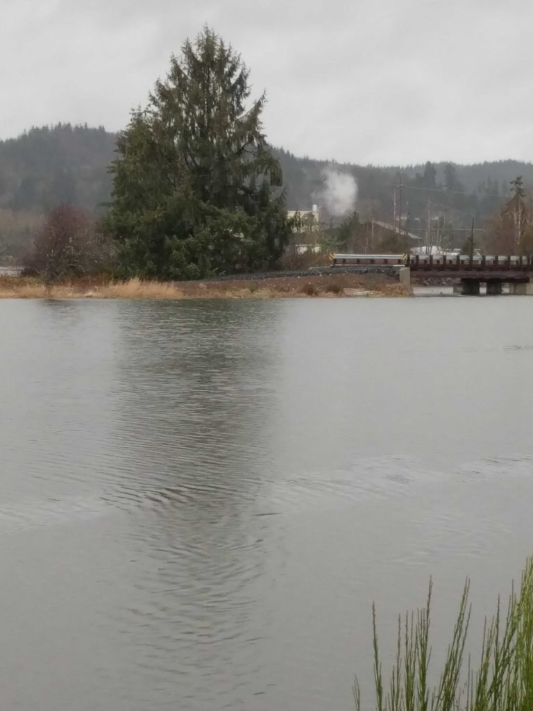 Tides Report Raymond, WA MyCoast