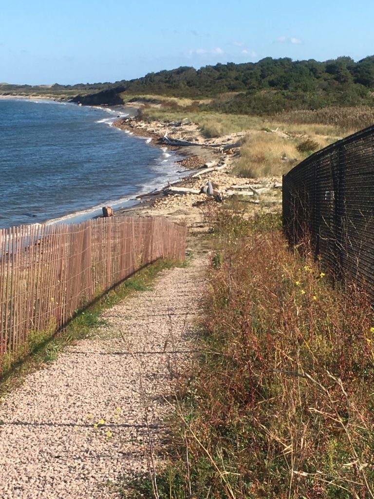 Tides Report New Shoreham, RI MyCoast