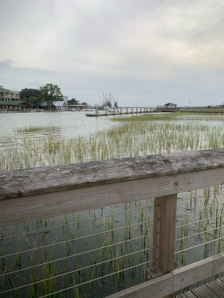 Tides Report Mt Pleasant SC MyCoast