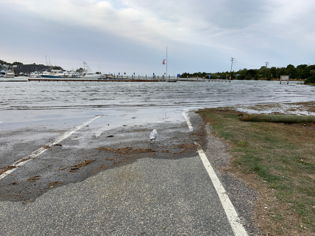 Storms Report Dennis, MA MyCoast