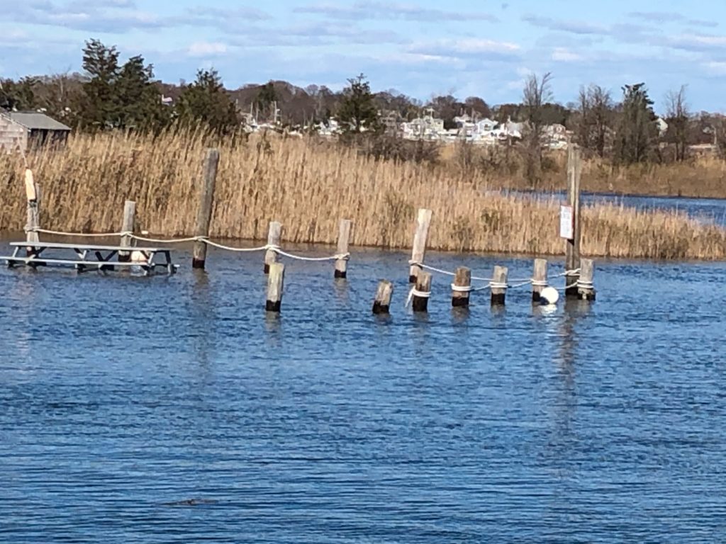 Tides Report Marshfield, MA MyCoast