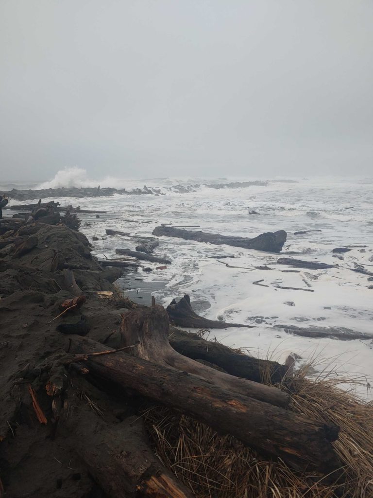Tides Report Ocean Shores, WA MyCoast