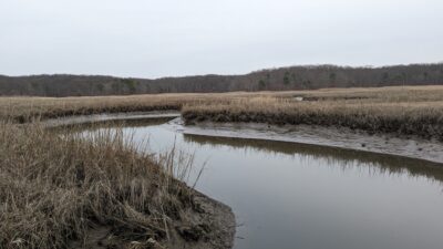 a body of water with grass and trees around it (MyCoast AI)