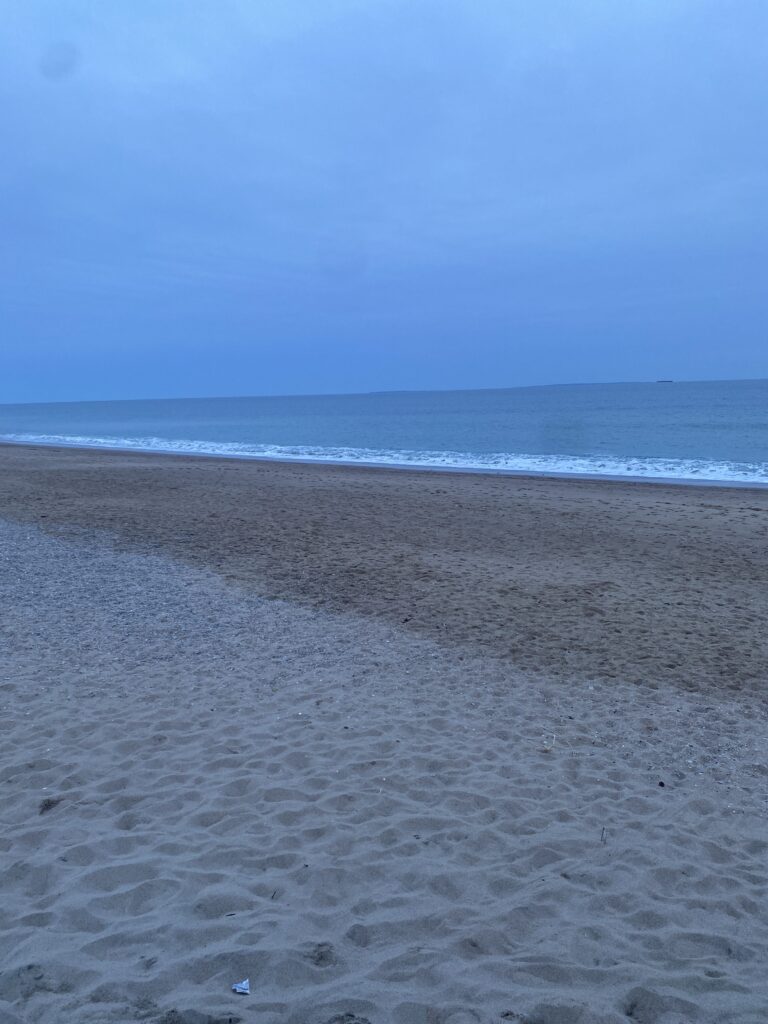 a sandy beach with waves crashing (MyCoast AI)