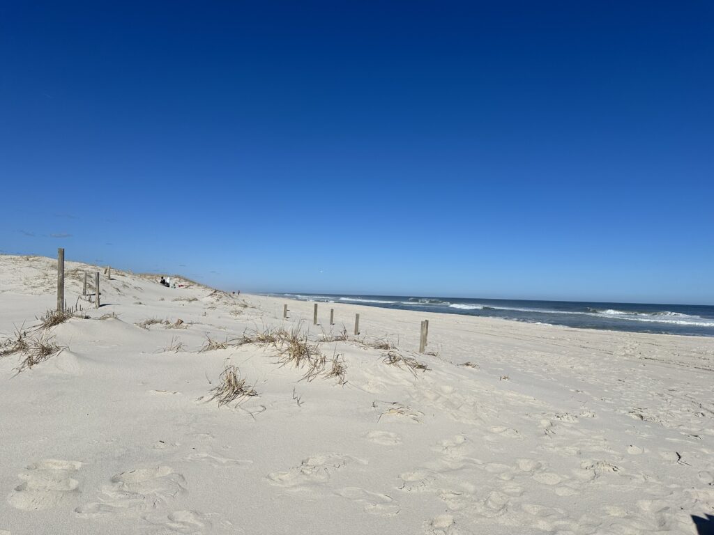 a sandy beach with a fence and water in the background (MyCoast AI)