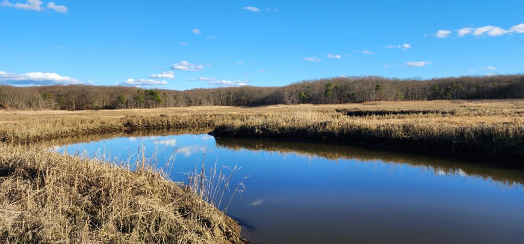 a body of water with grass and trees around it (MyCoast AI)
