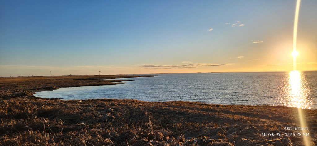 a beach with the sun setting (MyCoast AI)