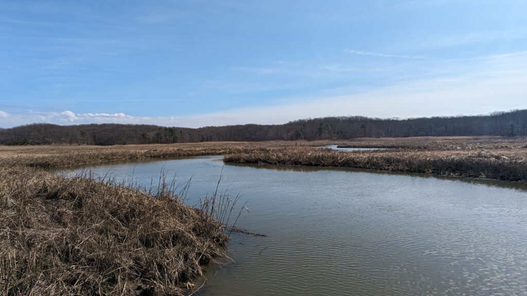a river with a forest in the background (MyCoast AI)