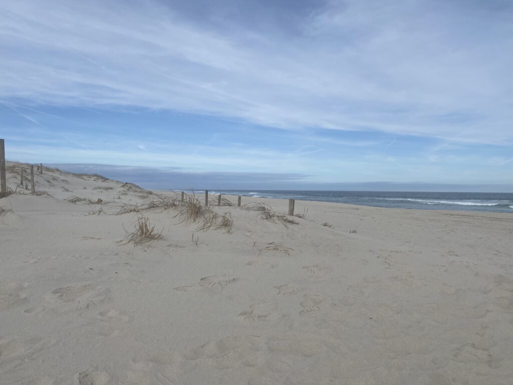a sandy beach with a fence and water in the background (MyCoast AI)