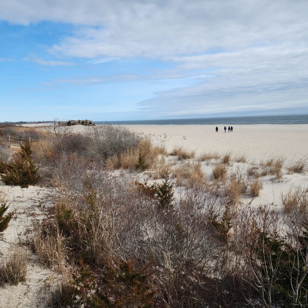 a field of dry grass (MyCoast AI)