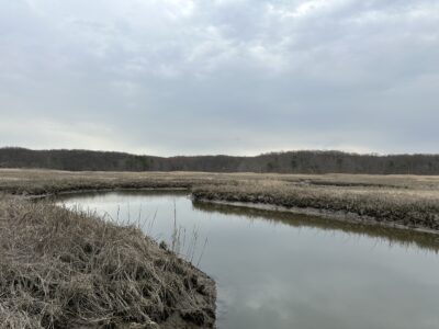 a lake with snow and trees (MyCoast AI)