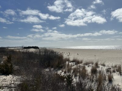 a field of snow and bushes (MyCoast AI)