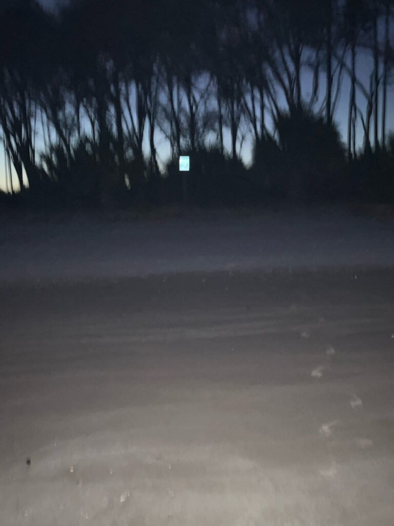 a road with trees on the side (MyCoast AI)