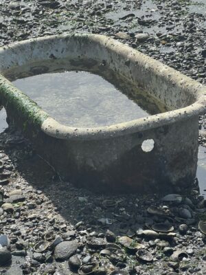 a circular structure on a rocky surface (MyCoast AI)