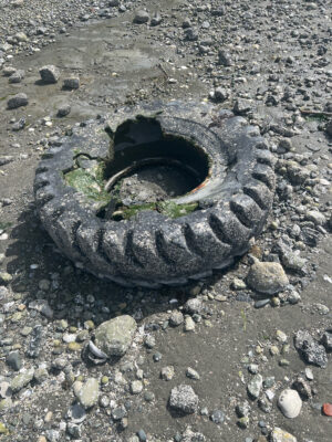 a tire in the ground (MyCoast AI)