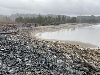 a rocky beach with a body of water and trees in the background (MyCoast AI)
