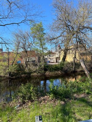 a pond with trees and grass around it (MyCoast AI)