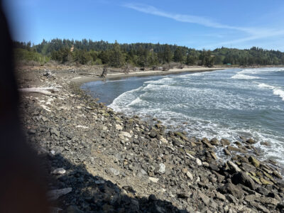 a rocky beach with trees in the background (MyCoast AI)