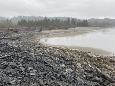 a rocky beach with a body of water and trees in the background (MyCoast AI)