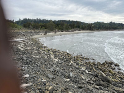 a rocky shore with trees in the background (MyCoast AI)