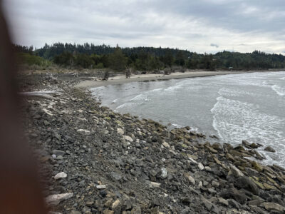 a rocky beach with trees in the background (MyCoast AI)