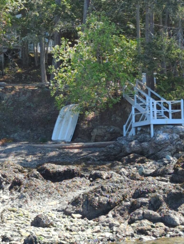 a white chair in a wooded area (MyCoast AI)