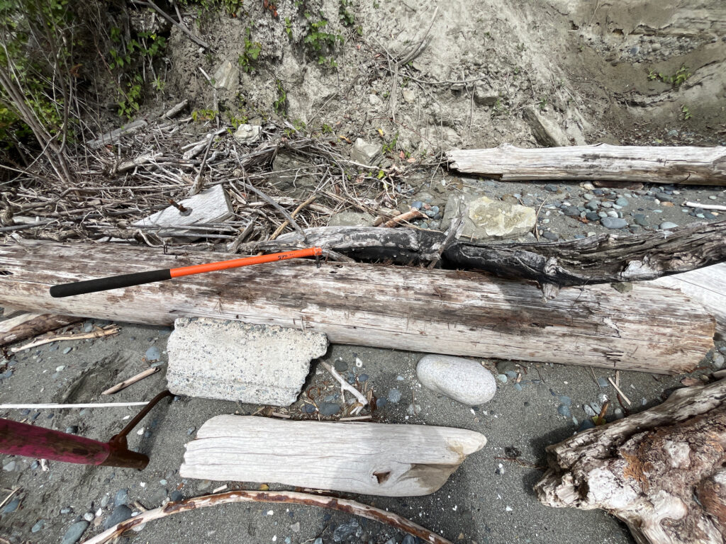 a pile of wood and sticks (MyCoast AI)