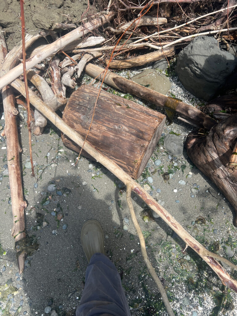 a person's feet on a log in a muddy area (MyCoast AI)