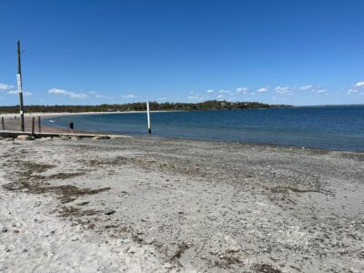 a beach with a body of water in the background (MyCoast AI)