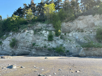 a rocky hillside with trees (MyCoast AI)