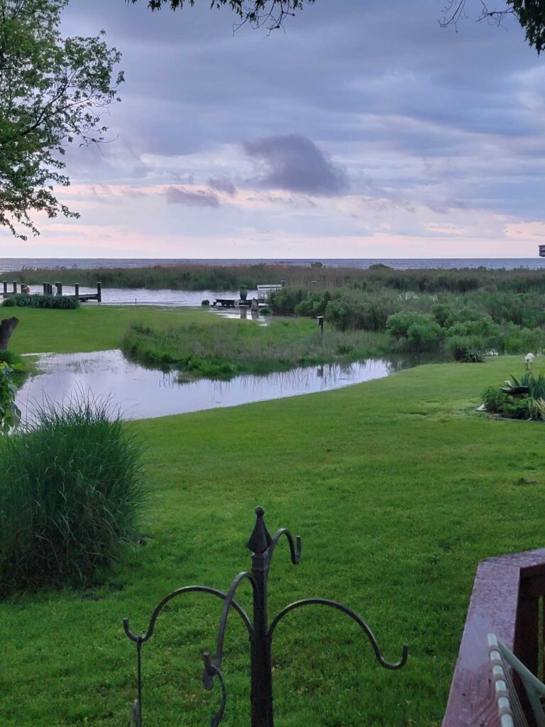 a pond with grass and trees (MyCoast AI)