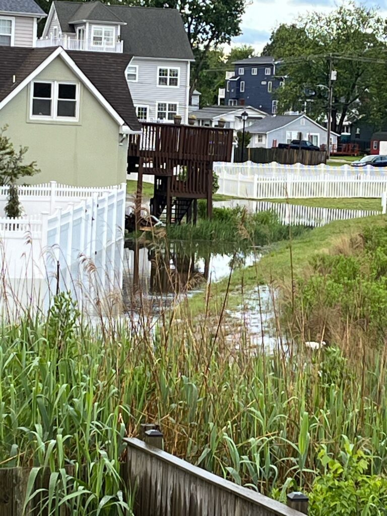 a pond with grass and buildings around it (MyCoast AI)