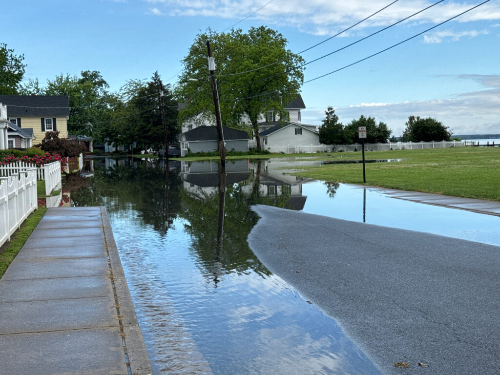 a small pond with a sidewalk and grass and houses (MyCoast AI)