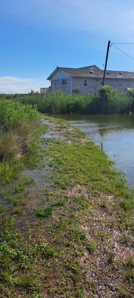 a house next to a river (MyCoast AI)