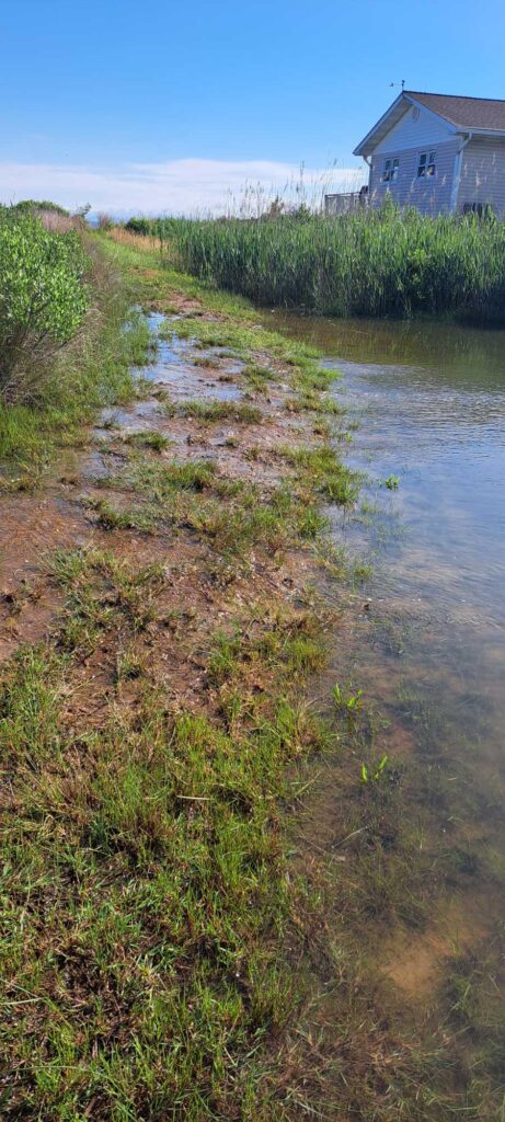a small river with a house in the background (MyCoast AI)