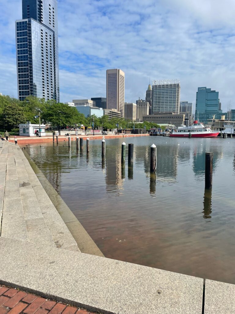a body of water with buildings in the background (MyCoast AI)