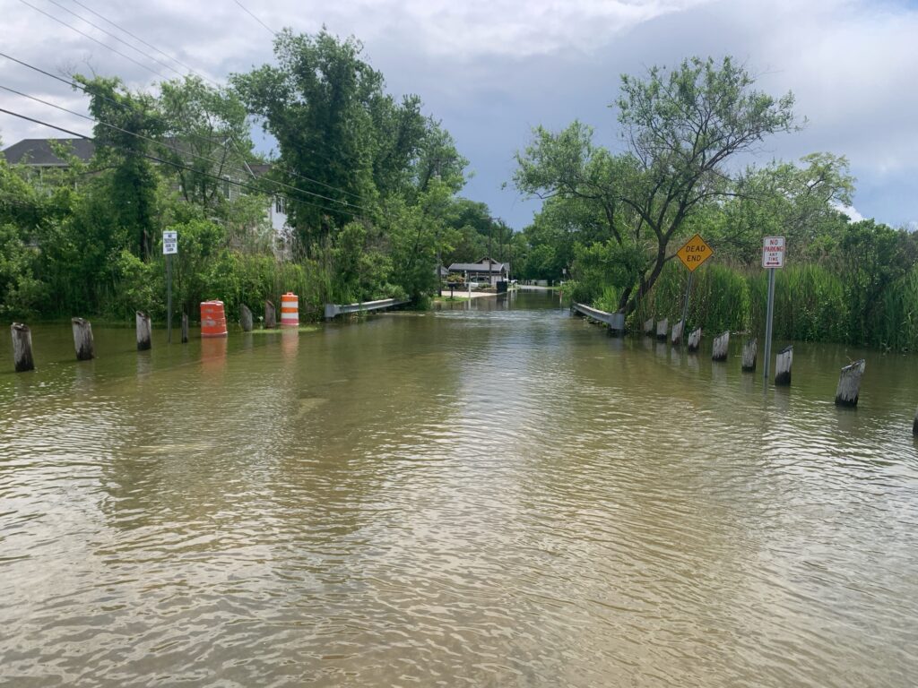 a flooded area with trees and a bridge (MyCoast AI)
