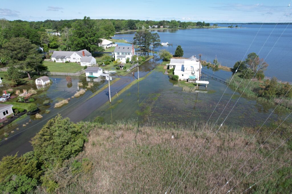 a body of water with buildings and trees around it (MyCoast AI)