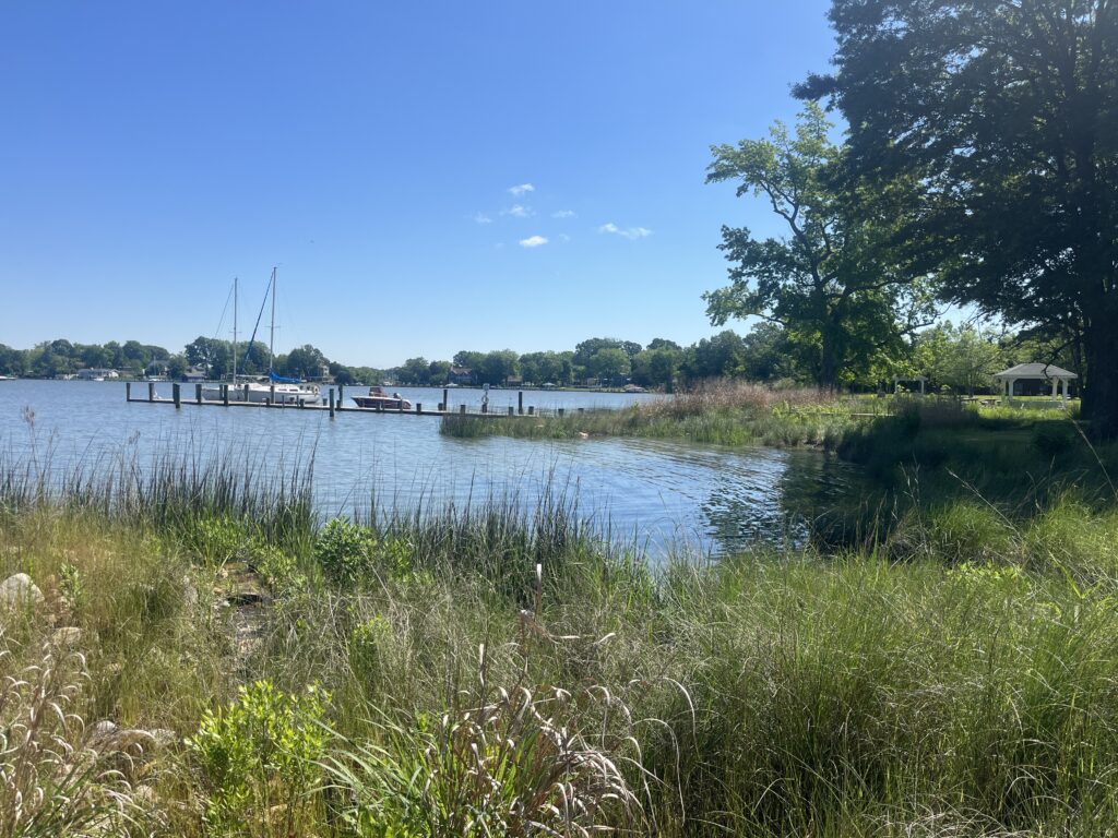 a body of water with boats in it and grass around it (MyCoast AI)