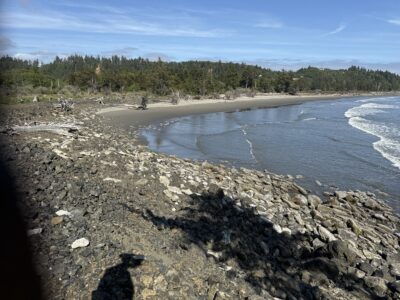 a rocky beach with trees in the background (MyCoast AI)