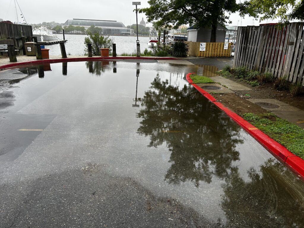 a flooded street with a red railing (MyCoast AI)