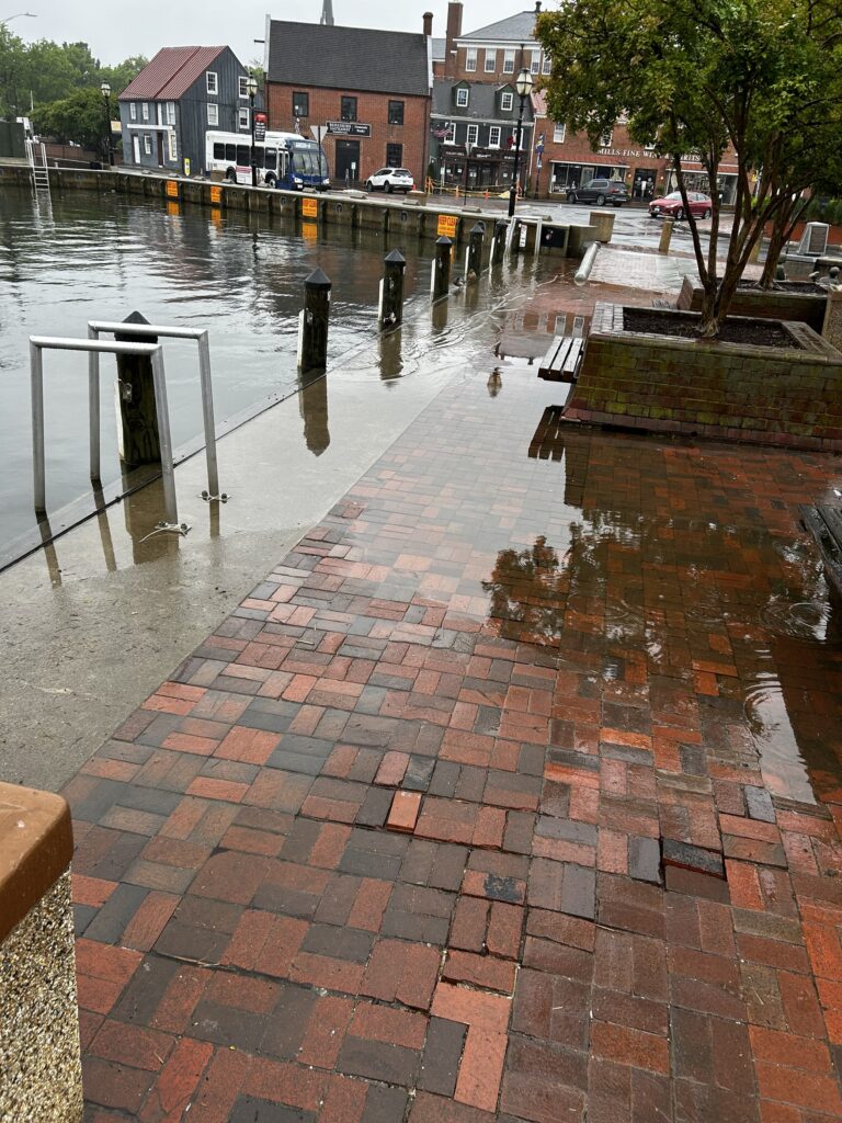 a flooded street with a few ducks (MyCoast AI)