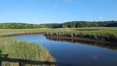 a body of water with grass and trees around it (MyCoast AI)